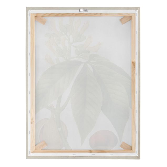 Print on canvas - Tableau Leaf Flower Fruit VI