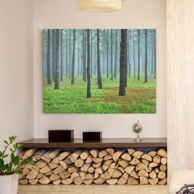 Print on canvas - Deep Forest With Pine Trees On La Palma