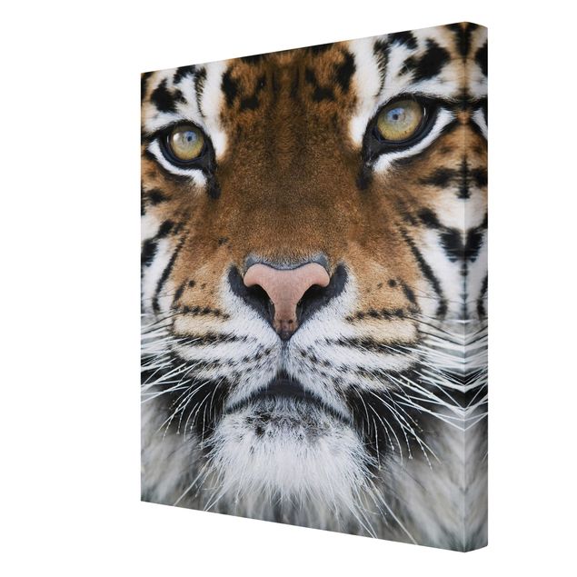 Print on canvas - Tiger Eyes