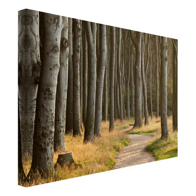 Print on canvas - Forest Road In Northern Germany