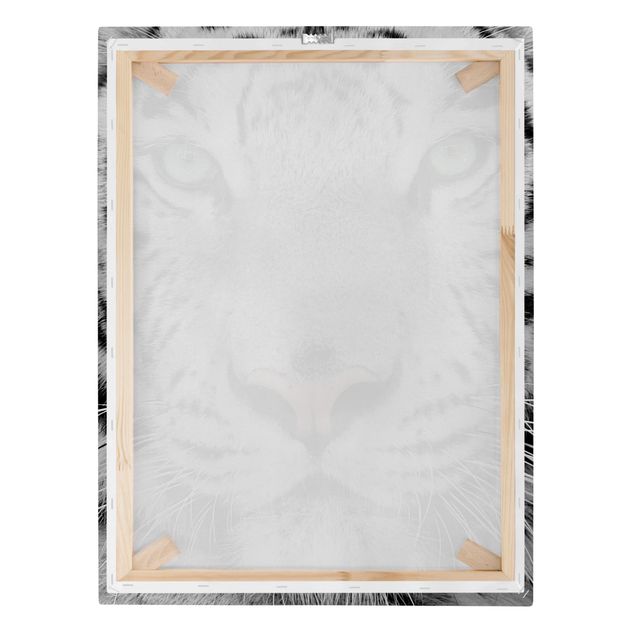 Print on canvas - White Tiger