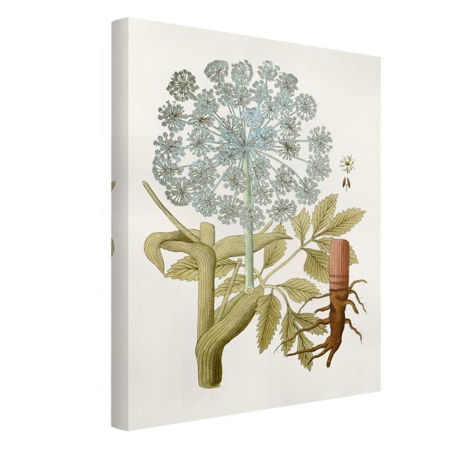 Print on canvas - Wild Herbs Board III