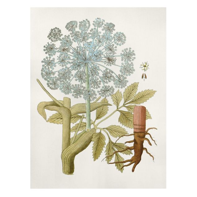 Print on canvas - Wild Herbs Board III