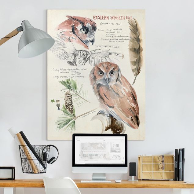Print on canvas - Wilderness Journal - Owl