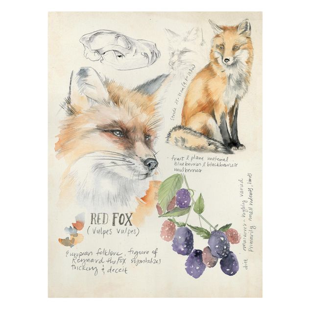 Print on canvas - Wilderness Journal - Fox