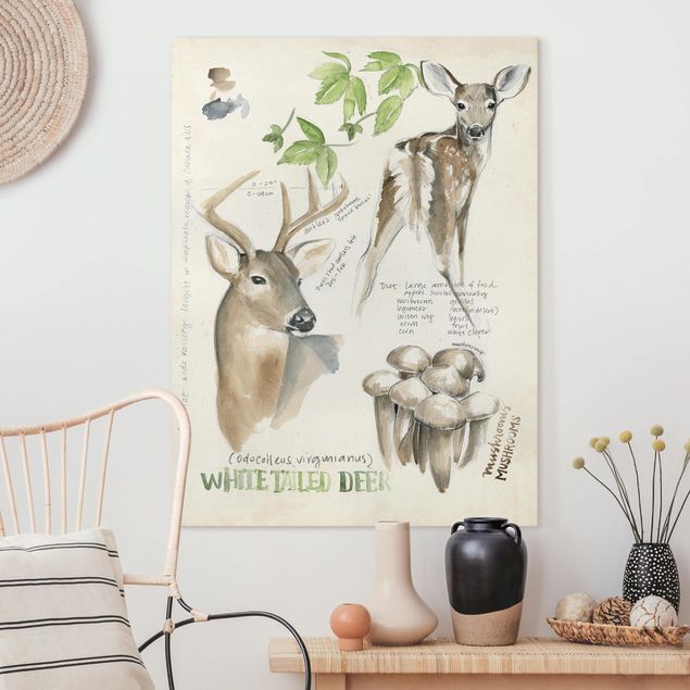 Print on canvas - Wilderness Journal - Deer