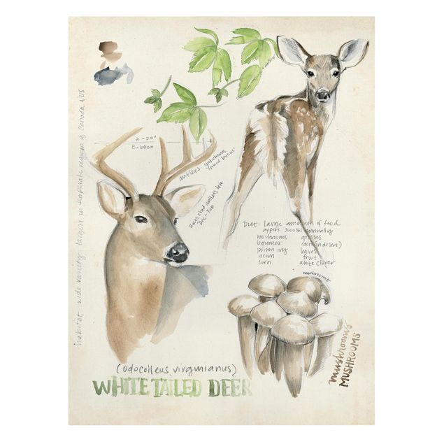 Print on canvas - Wilderness Journal - Deer