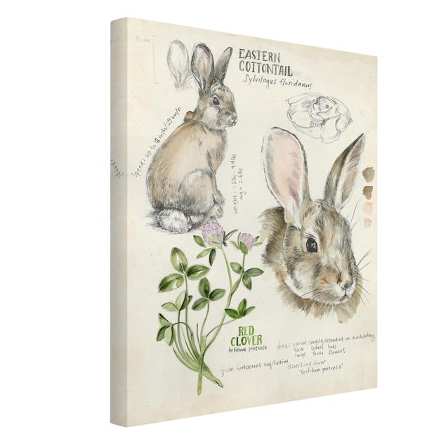 Print on canvas - Wilderness Journal - Rabbit