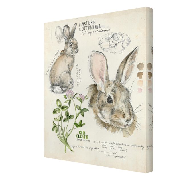 Print on canvas - Wilderness Journal - Rabbit