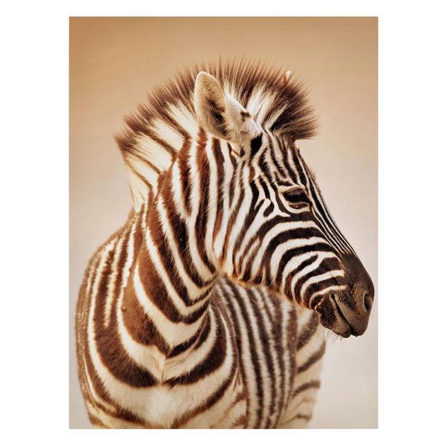 Print on canvas - Zebra Baby Portrait