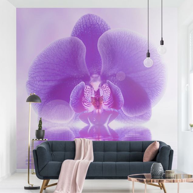 Wallpapers Purple Orchid On Water