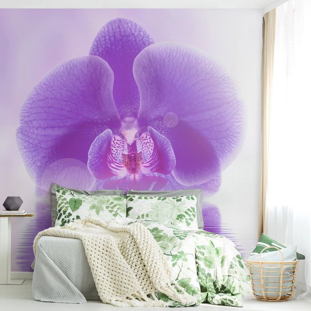 Wallpaper - Purple Orchid On Water