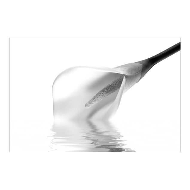 Wallpaper - Liquid Calla Black And White