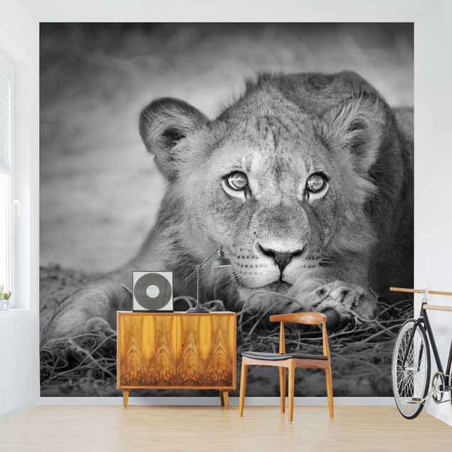 Wallpaper - Lurking Lionbaby