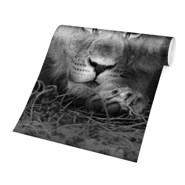 Wallpaper - Lurking Lionbaby