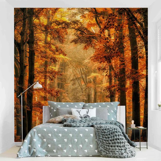 Wallpapers Enchanted Forest In Autumn