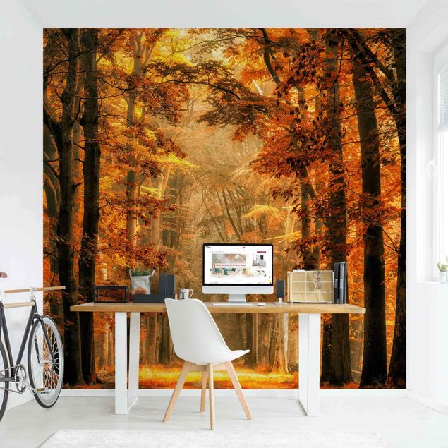 Wallpaper - Enchanted Forest In Autumn
