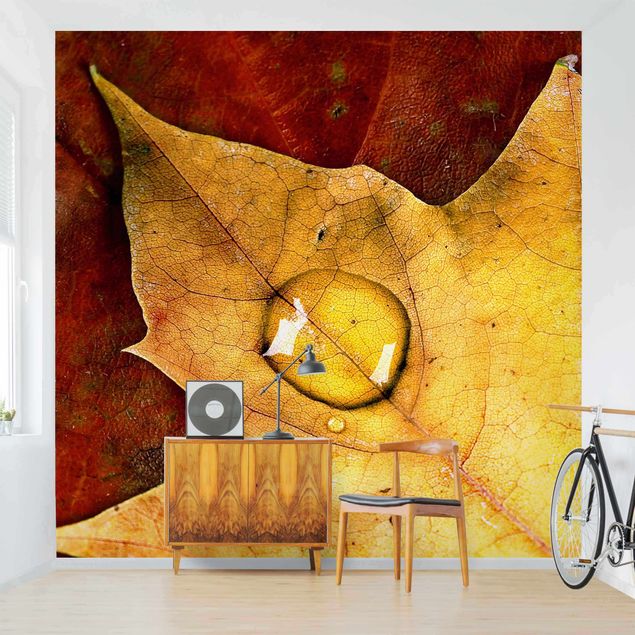 Wallpaper - Magical Leaf