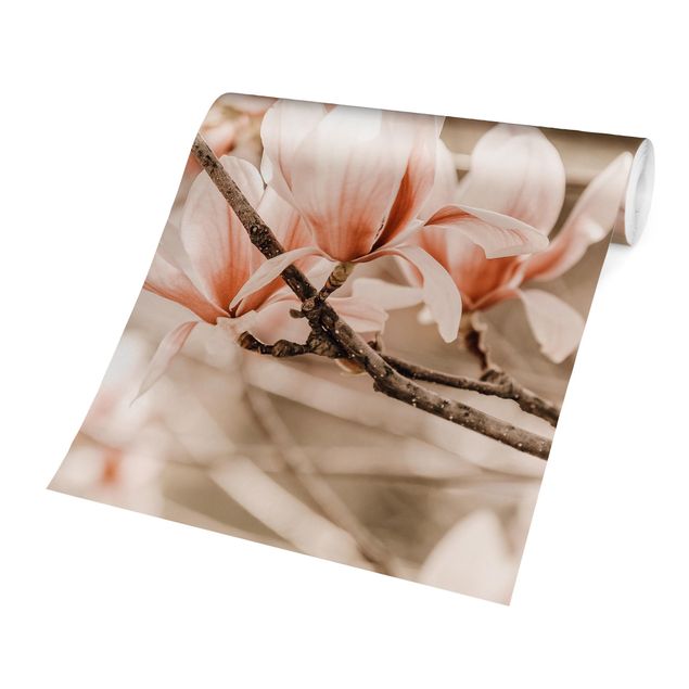 Wallpaper - Magnolia Twig Vintage Style