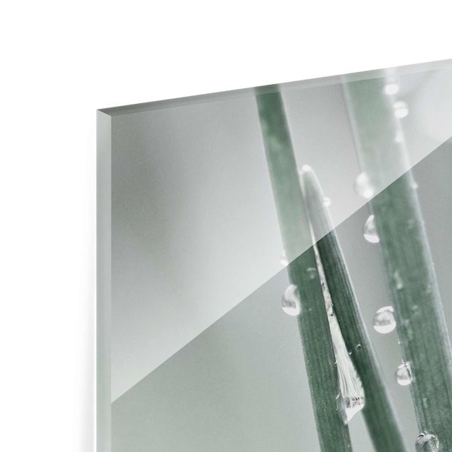 Glass print - Macro Image Beads Of Water On Grass
