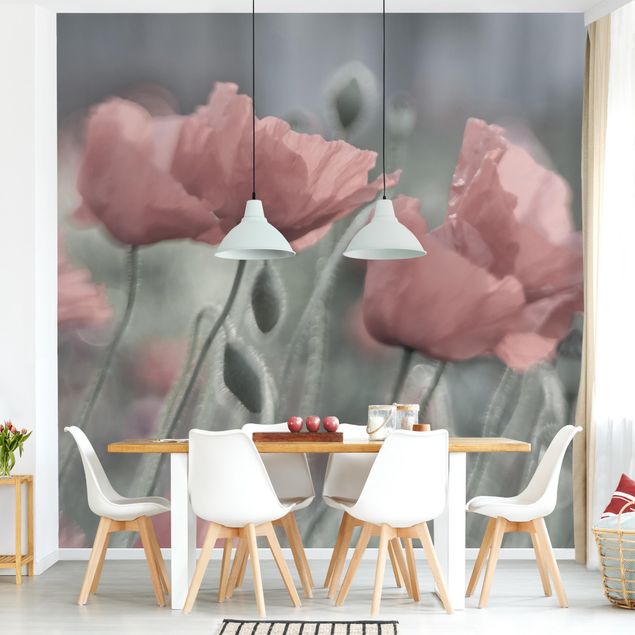 Wallpaper - Picturesque Poppy
