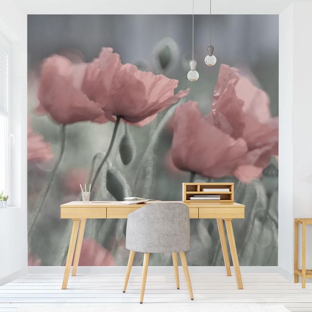 Wallpaper - Picturesque Poppy