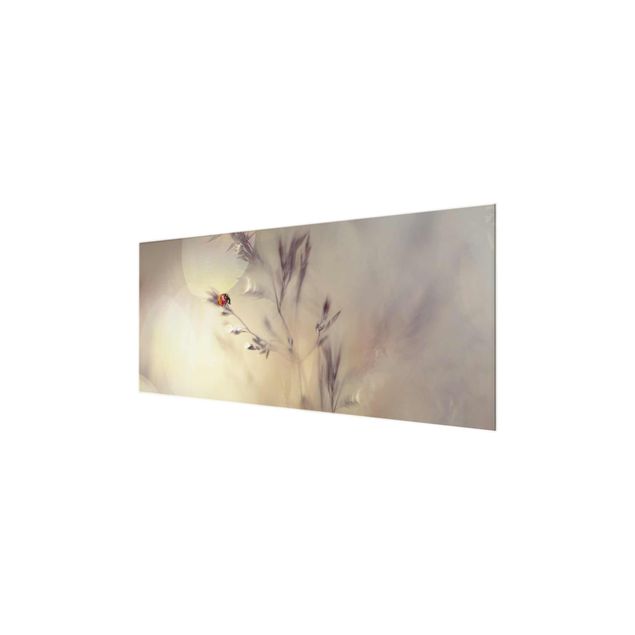 Glass print - Ladybird On Meadow Grass
