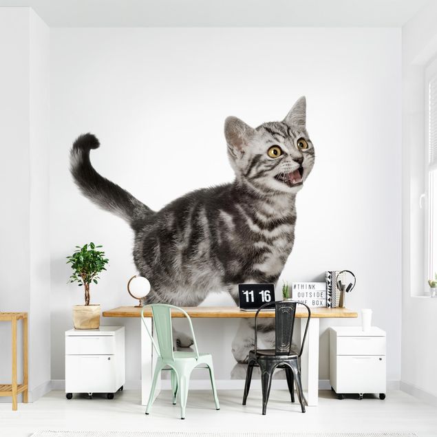 Wallpaper - Kitty