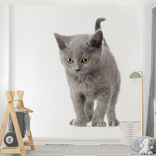 Wallpaper - Mini Kitty