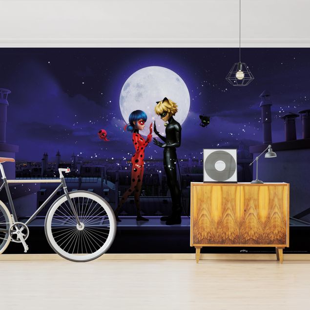 Wallpapers Miraculous Ladybug And Cat Noir In The Moonlight
