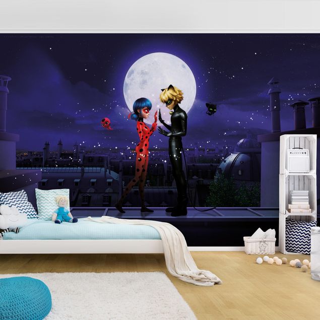 Wallpaper - Miraculous Ladybug And Cat Noir In The Moonlight
