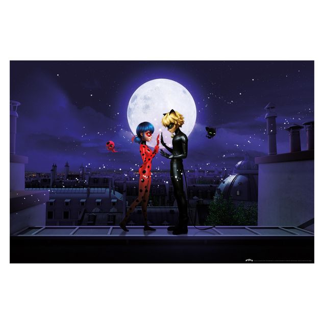 Wallpaper - Miraculous Ladybug And Cat Noir In The Moonlight