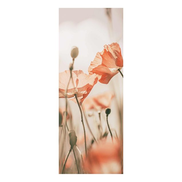 Glass print - Poppy Flowers In Summer Breeze