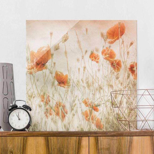 Glas Magnettafel Poppy Flowers And Grasses In A Field