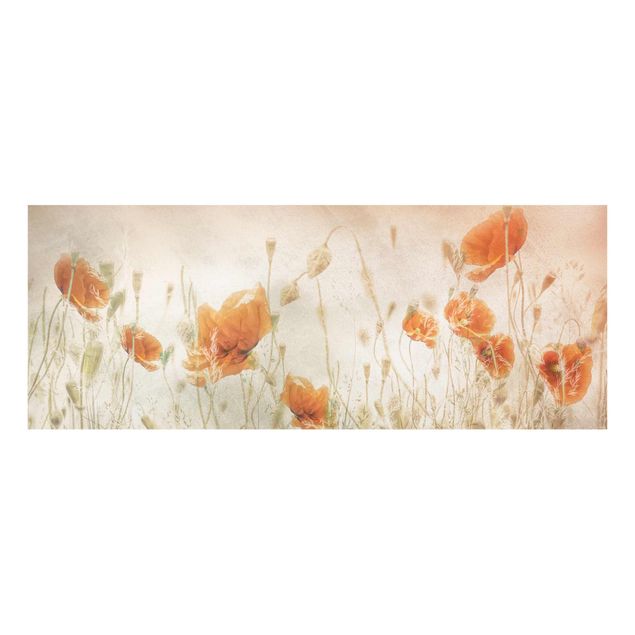Glass print - Poppy Flowers And Grasses In A Field