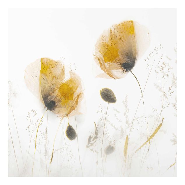 Glass print - Poppy Flowers And Delicate Grasses In Soft Fog
