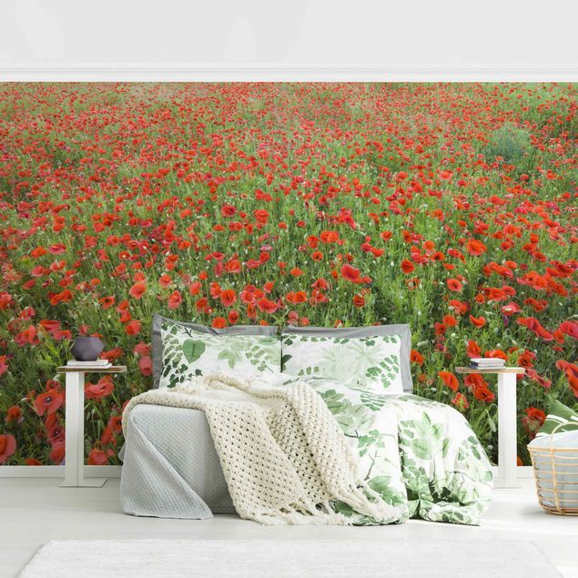 Wallpaper - Poppy Field