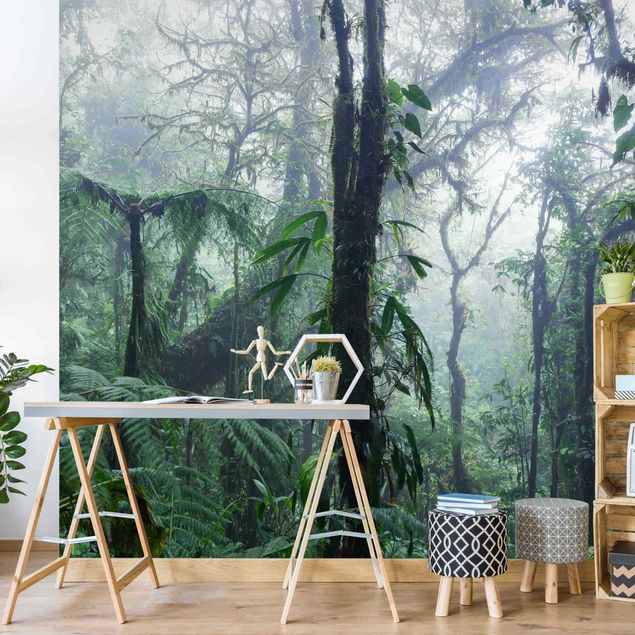 Wallpaper - Monteverde Cloud Forest