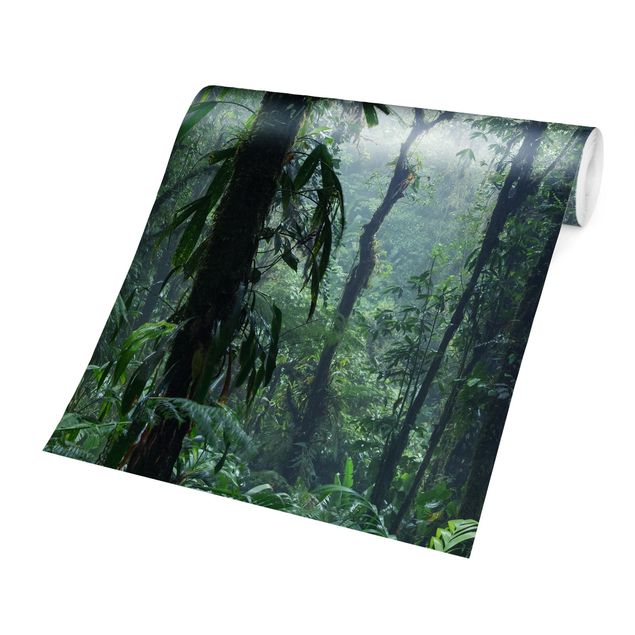 Wallpaper - Monteverde Cloud Forest