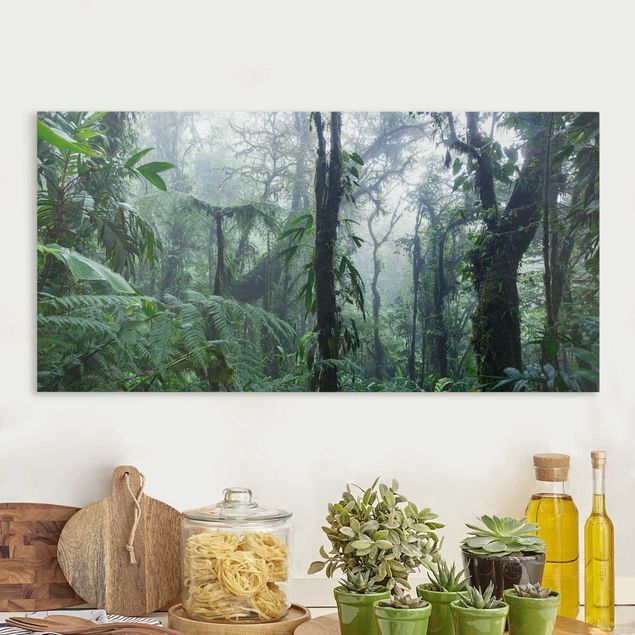 Matteo Colombo  Monteverde Cloud Forest