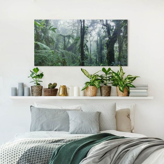 Print on canvas - Monteverde Cloud Forest