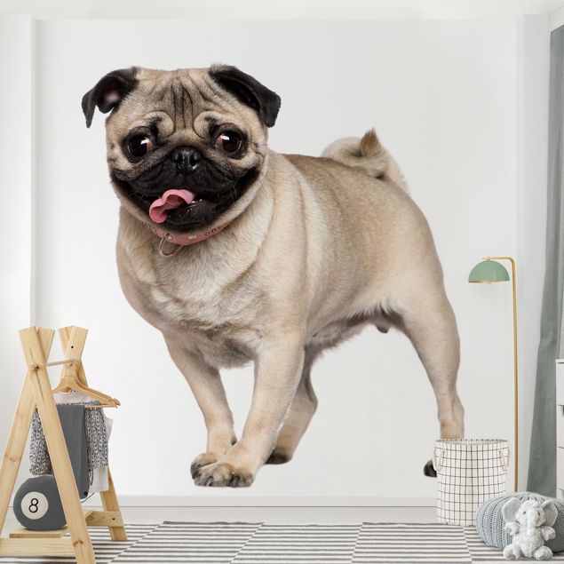 Wallpaper - Happy Pug