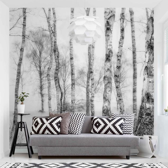 Wallpapers Mystic Birch Forest Black And White