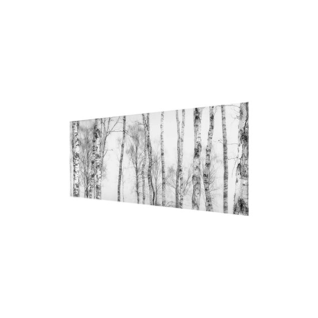 Glass print - Mystic Birch Forest Black And White