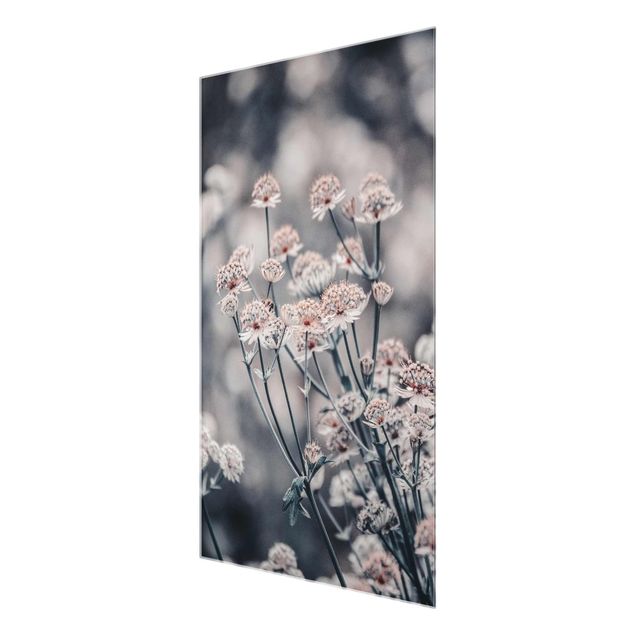 Glass print - Mystical Bouquet Of Flowers