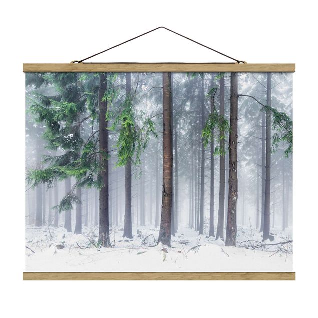 Fabric print with poster hangers - Conifers In Winter - Landscape format 4:3