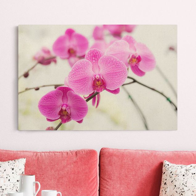 Natural canvas print - Close-Up Orchid - Landscape format 3:2