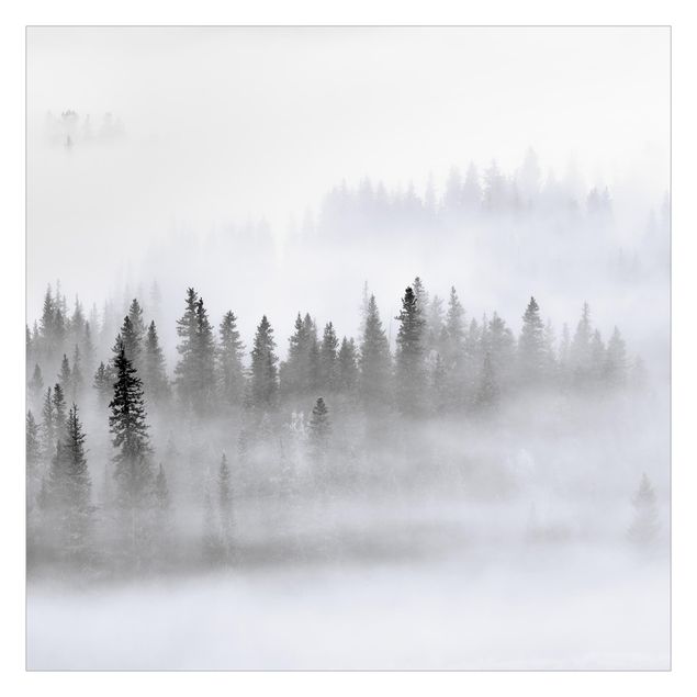 Wallpaper - Fog In The Fir Forest Black And White