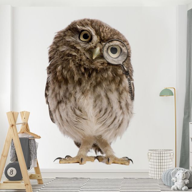 Wallpaper - Curious Owl