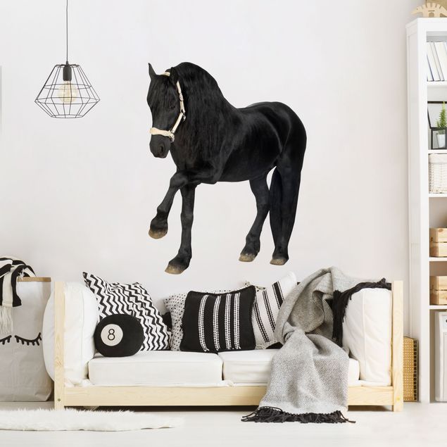 Wall decal No.276 Friesen mare